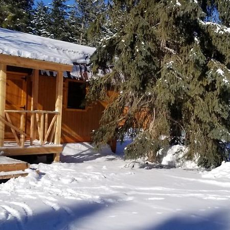Lonesome Dove Ranch Bed & Breakfast Kalispell Bagian luar foto