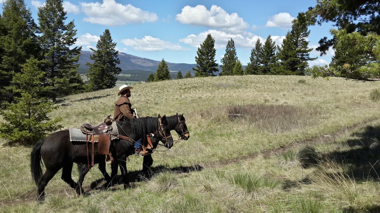 Lonesome Dove Ranch Bed & Breakfast Kalispell Bagian luar foto