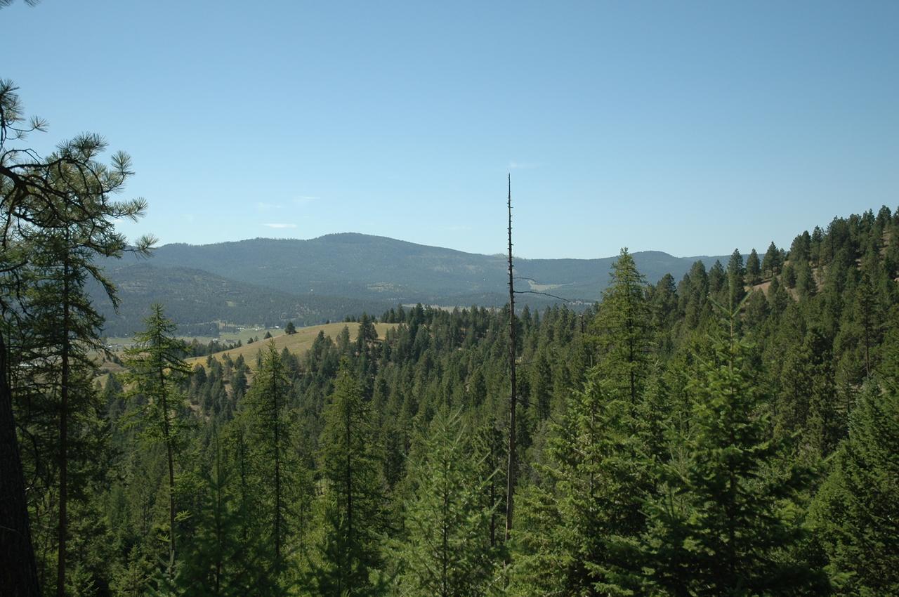 Lonesome Dove Ranch Bed & Breakfast Kalispell Bagian luar foto