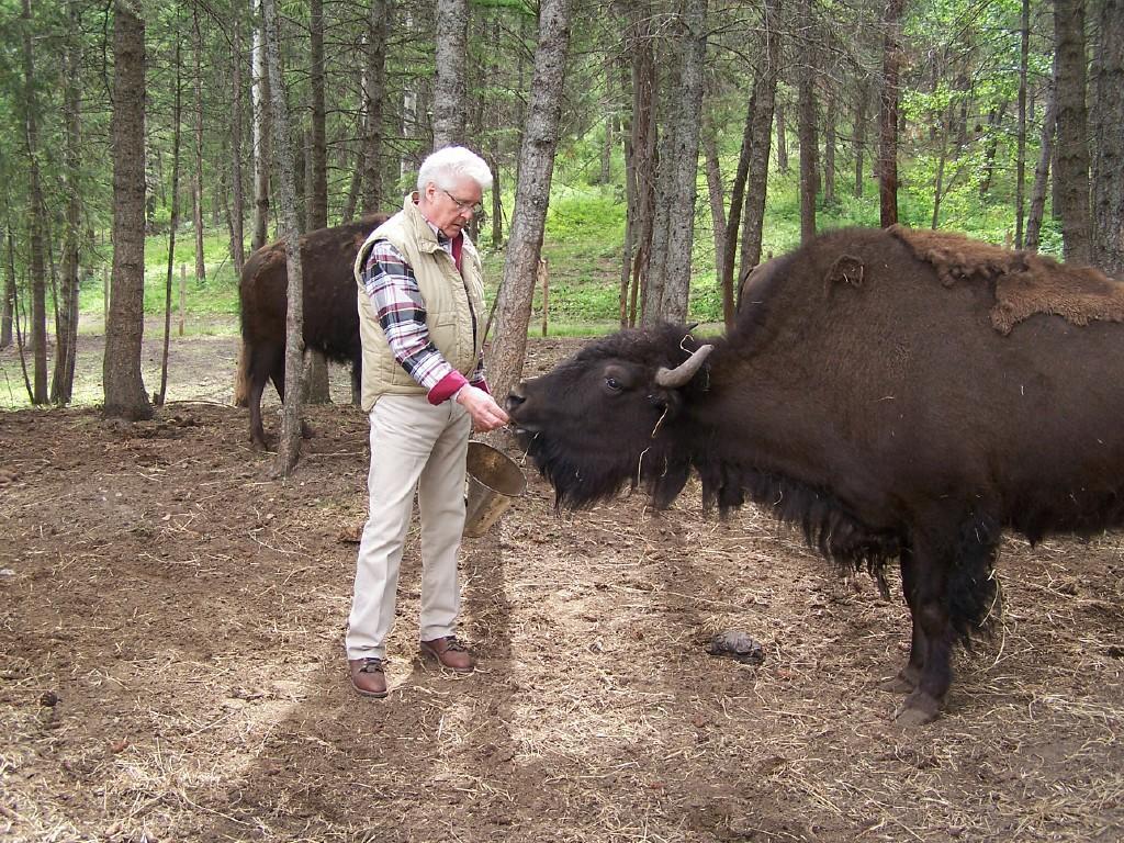 Lonesome Dove Ranch Bed & Breakfast Kalispell Bagian luar foto